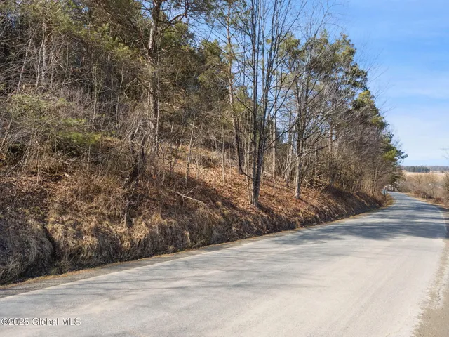 $30,000 | L20.2 Indian Brook Road, Greene, NY 13778