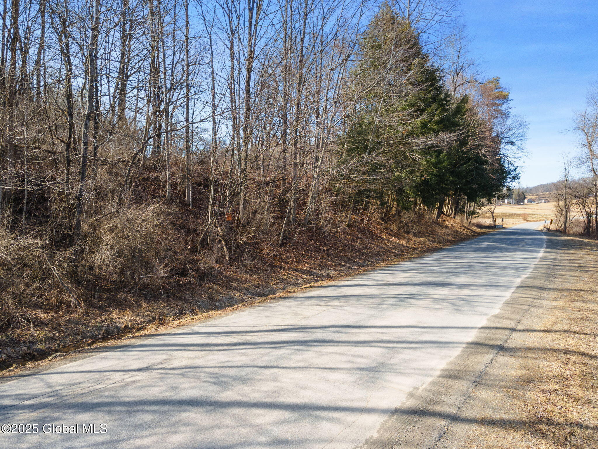 L20.2 Indian Brook Road Greene, NY 13778 - Photo 6 of 21 5-IndianBrookRd_05