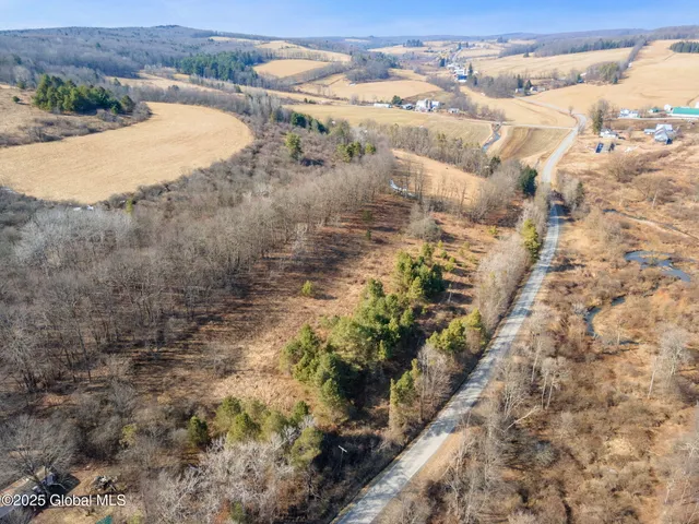 $30,000 | L20.2 Indian Brook Road, Greene, NY 13778