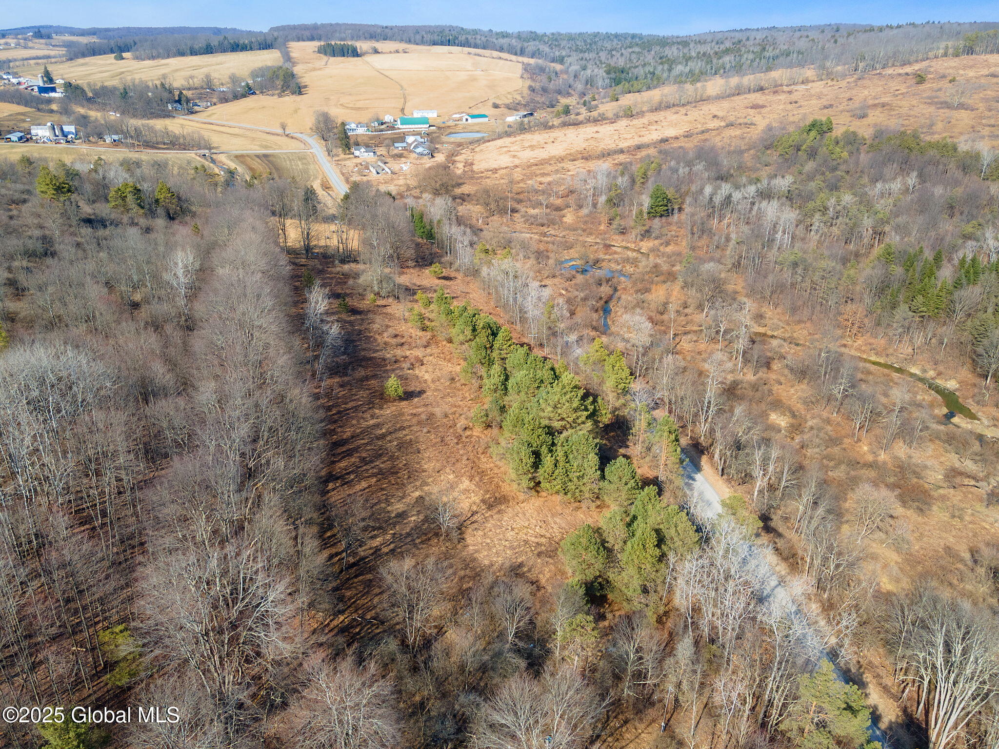 L20.2 Indian Brook Road Greene, NY 13778 - Photo 8 of 21 7-IndianBrookRd_07