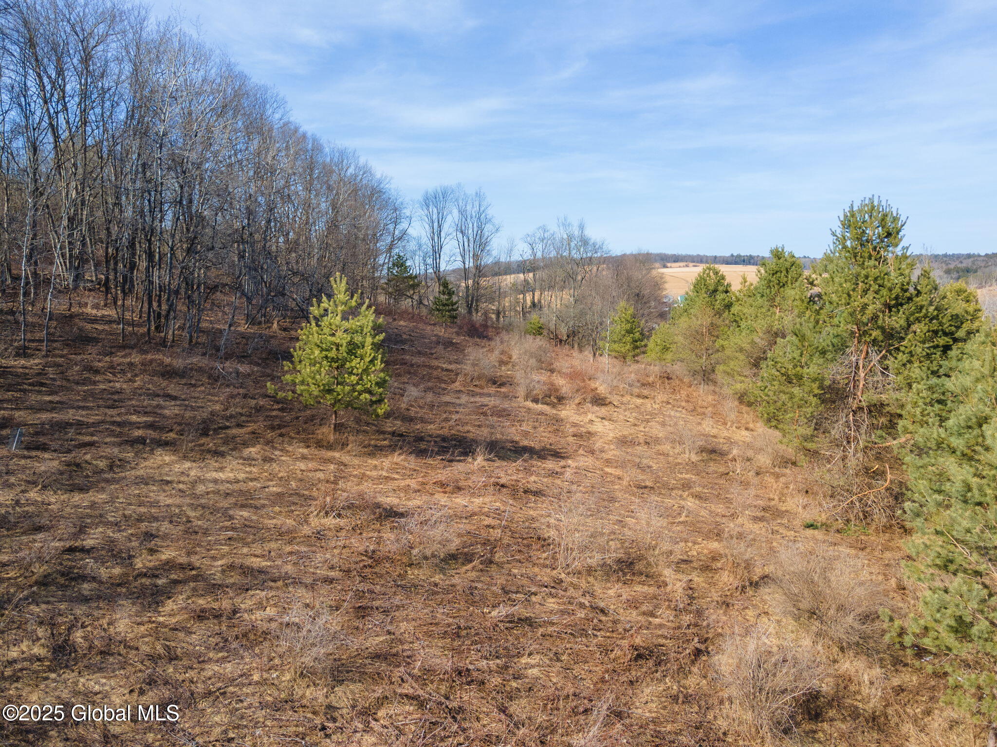 L20.2 Indian Brook Road Greene, NY 13778 - Photo 9 of 21 8-IndianBrookRd_08