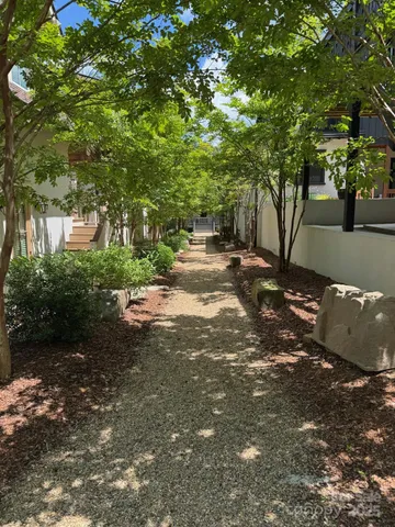 a view of a street with a tree