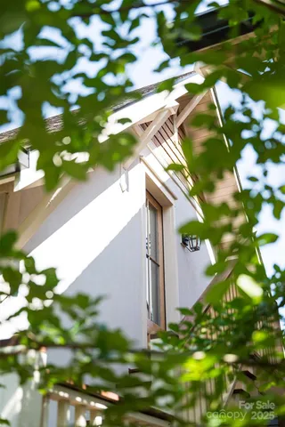 a backyard of a tree