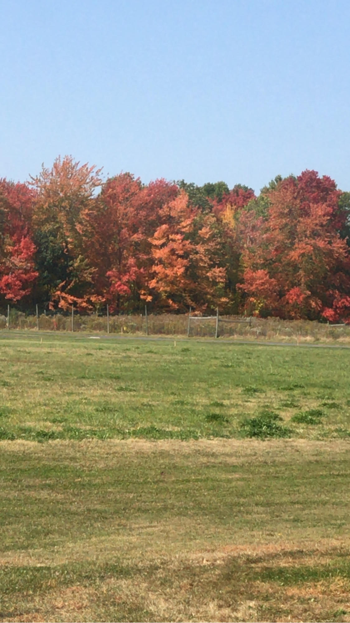 53 Wakefield Road Kennebunk, ME 04043 - Photo 4 of 46 Backyard view