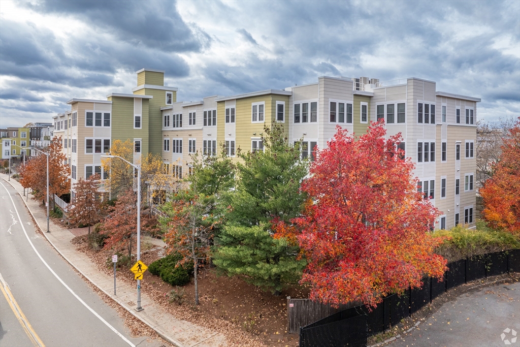 87 New Street, Unit 201 Cambridge, MA 02138 - Photo 8 of 8 a view of a multi story building