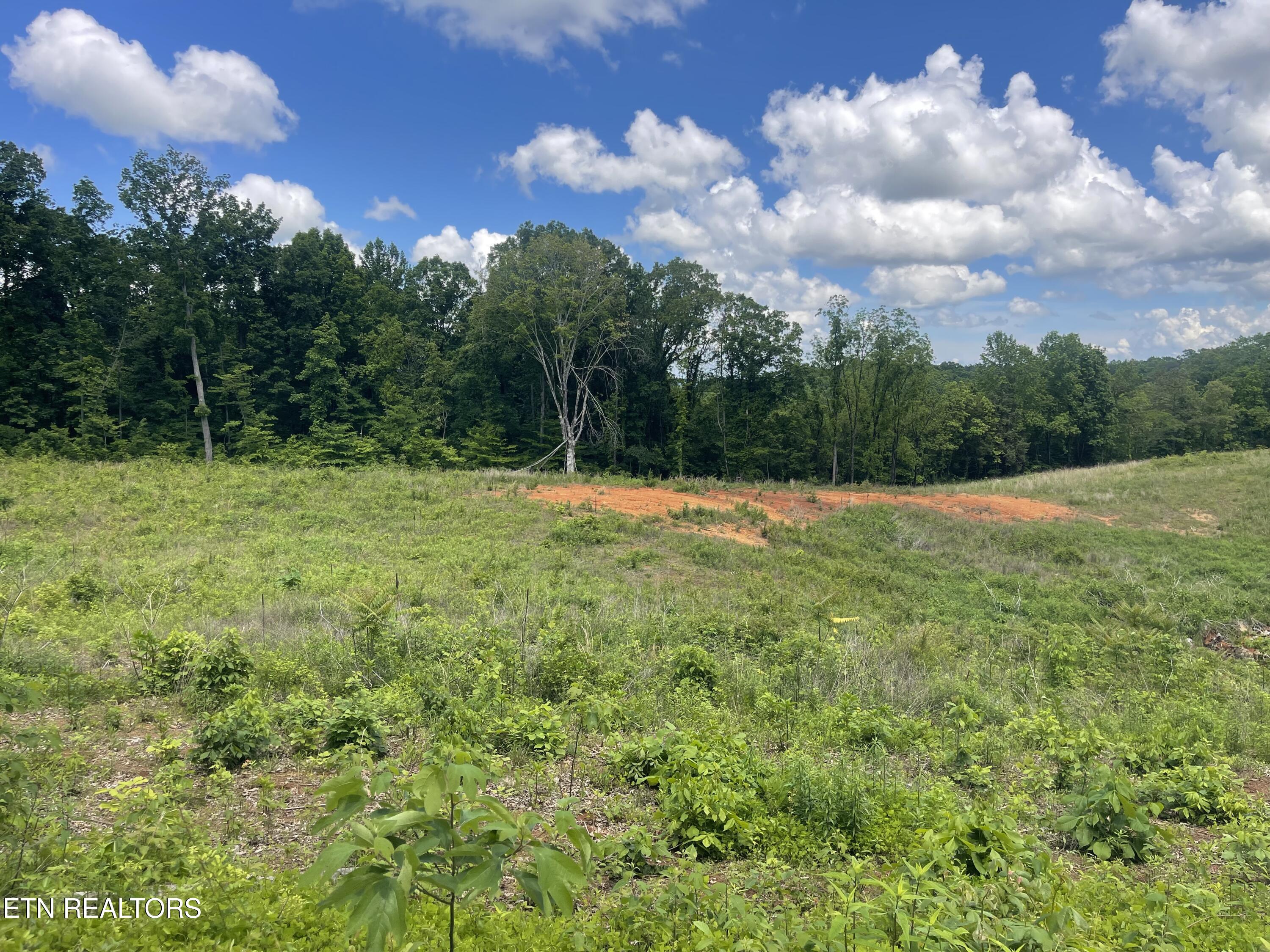 Lot 14 Laura Boling Loop Road Strawberry Plains, TN 37871 - Photo 1 of 1 0C575417-695C-487F-9FA7-1BAD466D7EEF