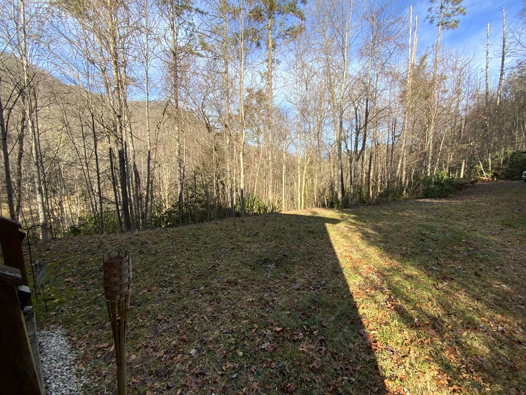 60 Porterfield Gap Road Robbinsville, NC 28771 - Photo 30 of 35