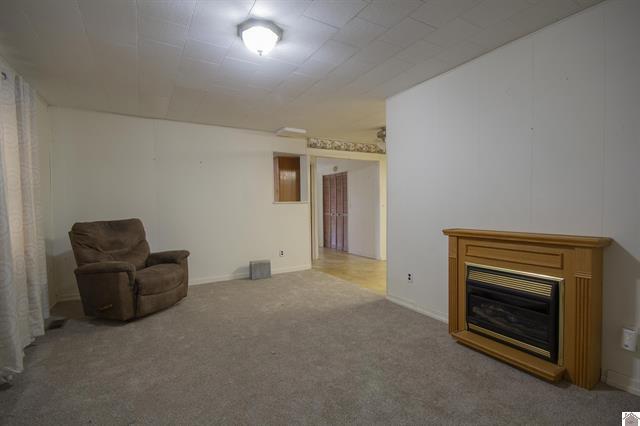 724 Armstrong Road Smithland, KY 42081 - Photo 9 of 41 9