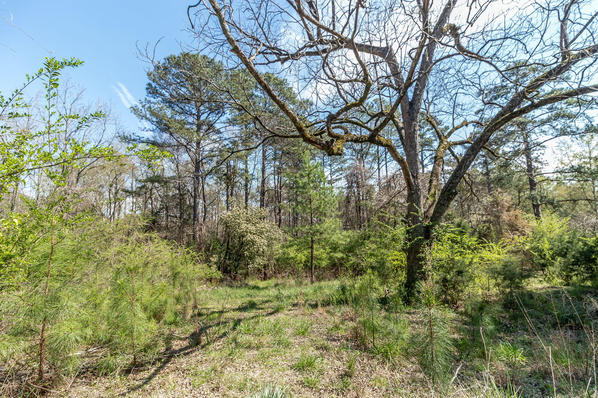 539 Lamkin Road Harlem, GA 30814 - Photo 45 of 46 45-web-or-mls-539 LAMKIN RD ©-3102