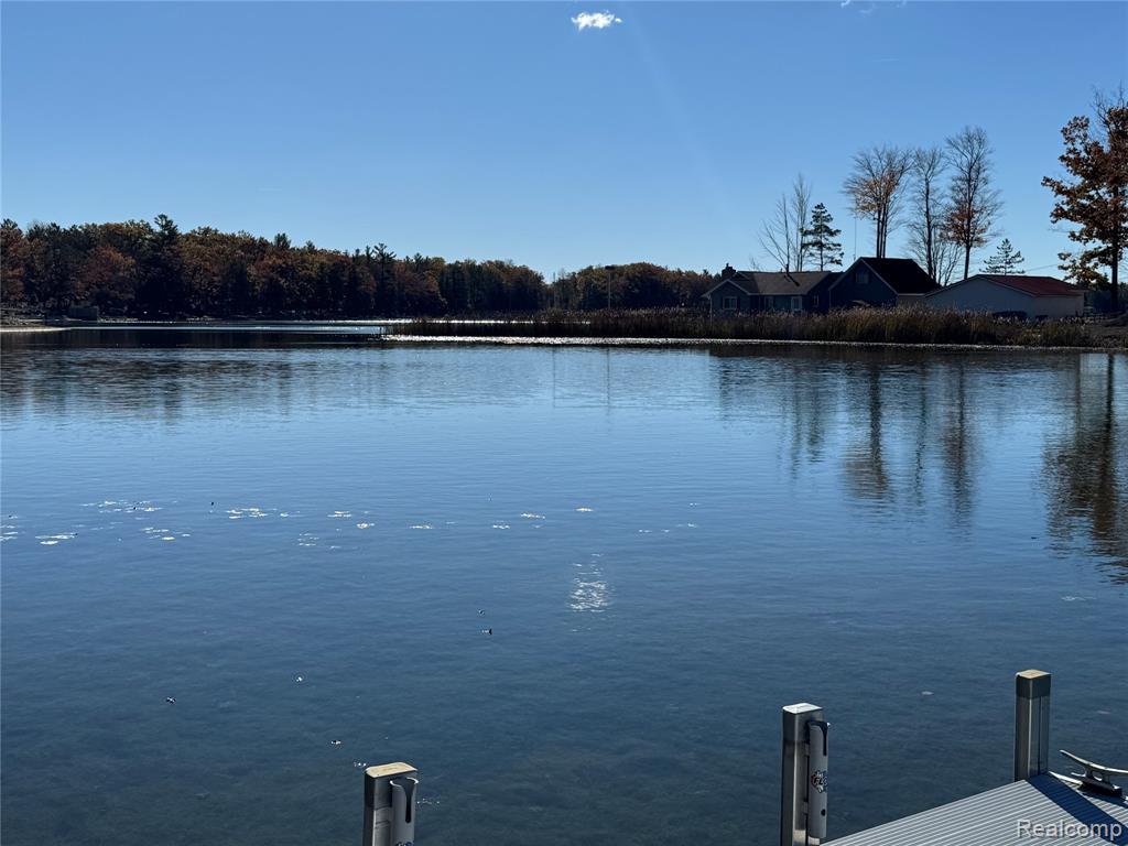 7099 Jose Lake Road South Branch, MI 48761 - Photo 10 of 81