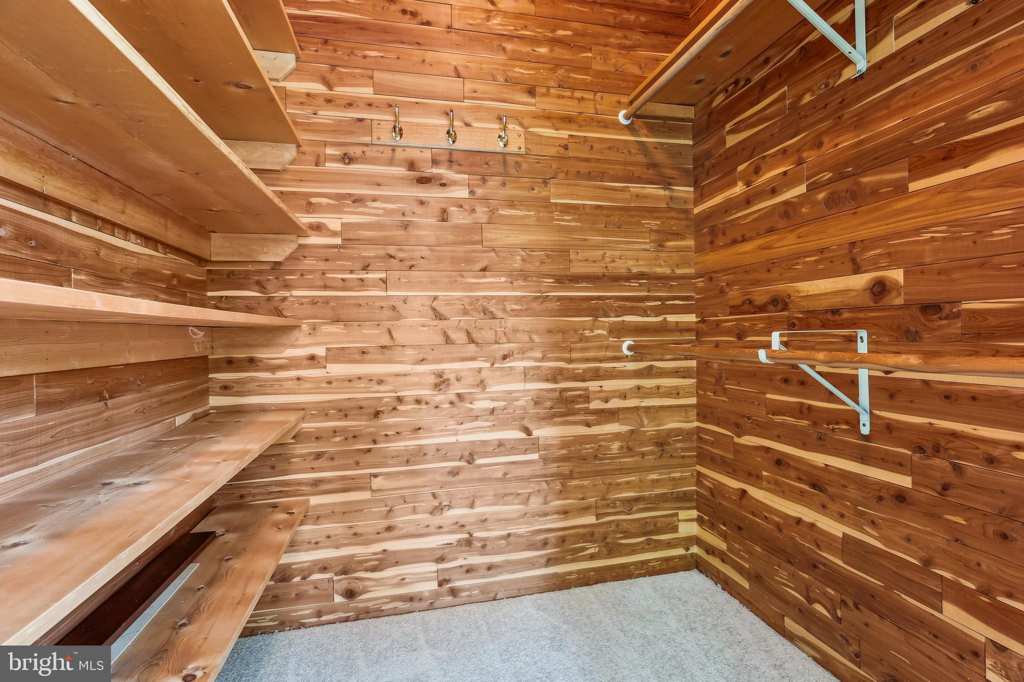 1750 Overlook Drive Silver Spring, MD 20903 - Photo 32 of 86 Primary walk-in cedar closet