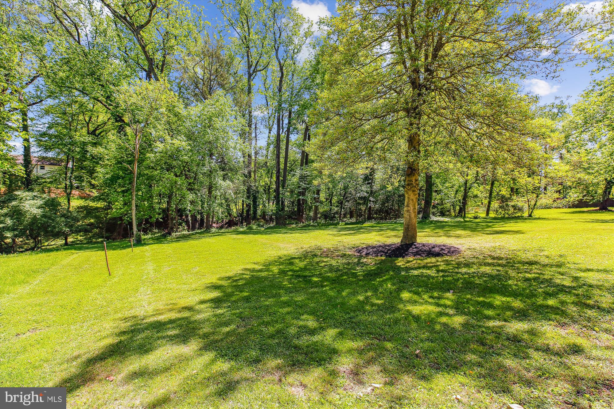 1750 Overlook Drive Silver Spring, MD 20903 - Photo 78 of 86 Rear Yard