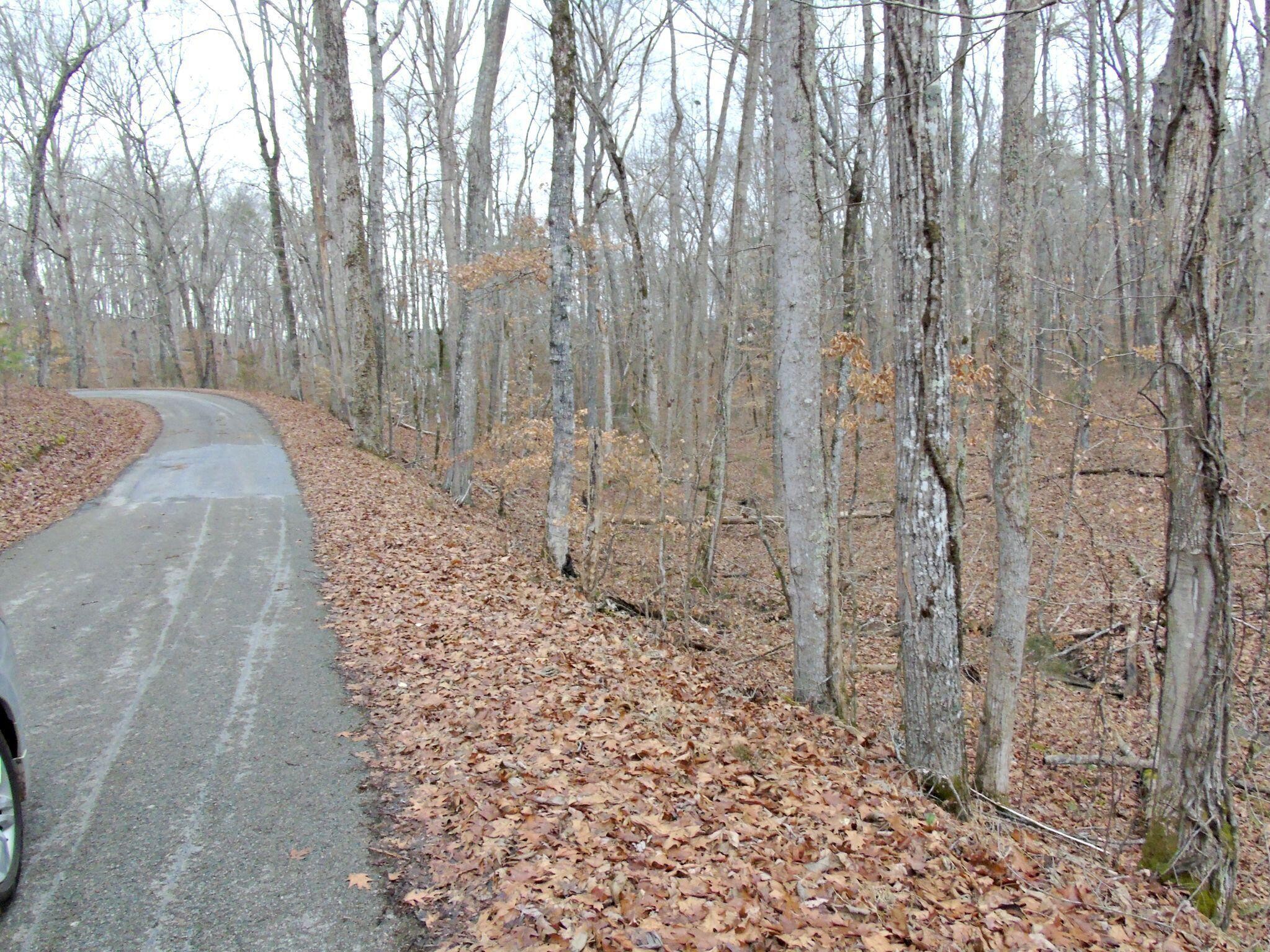 0 Cottonport Ferry Road Decatur, TN 37322 - Photo 8 of 11 a view of a backyard