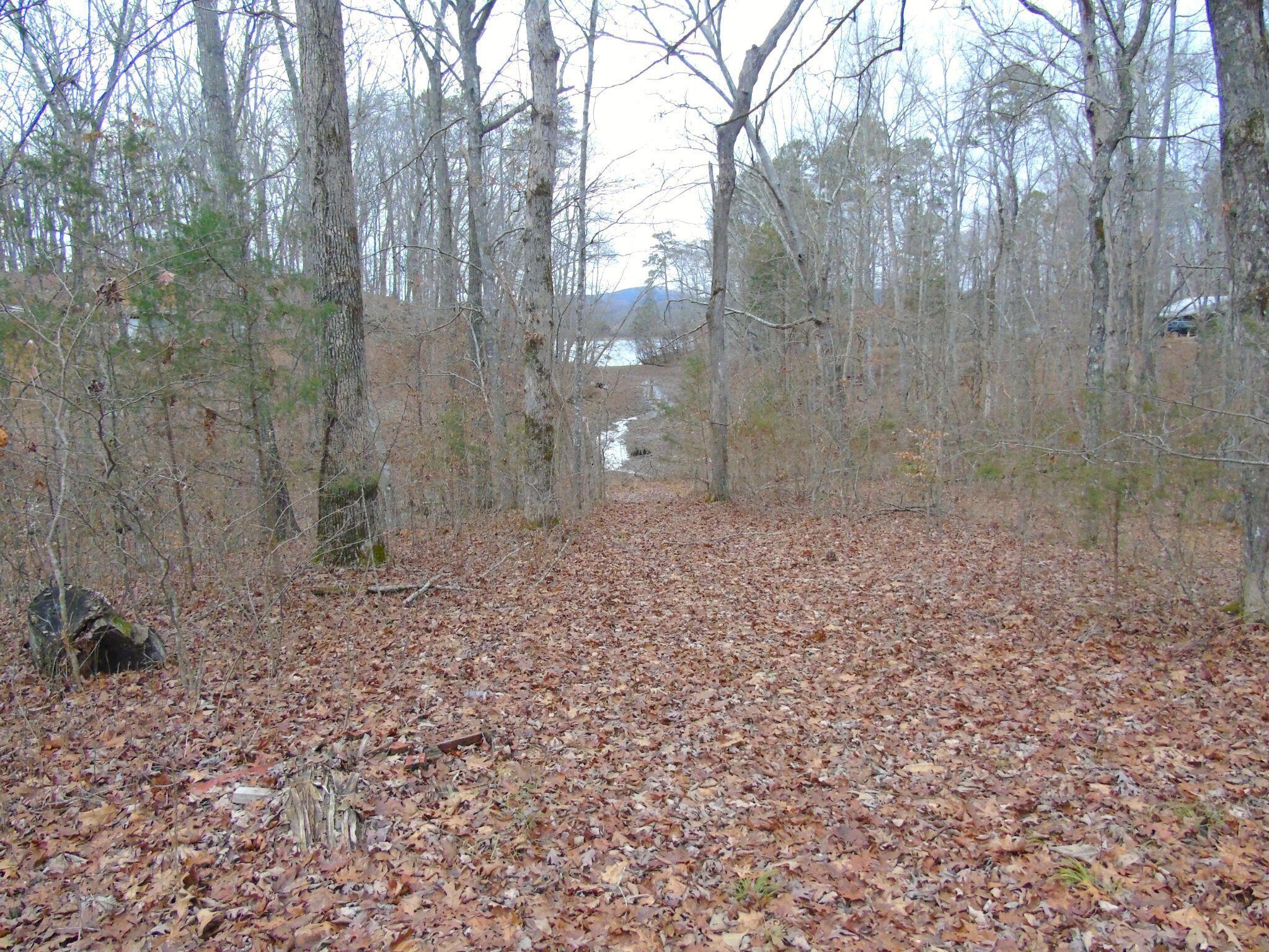 0 Cottonport Ferry Road Decatur, TN 37322 - Photo 10 of 11 a backyard of a house with lots of green space
