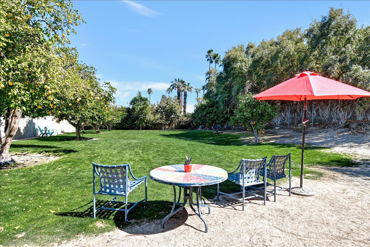 69850 Highway 111, Unit 260 Rancho Mirage, CA 92270 - Photo 38 of 43 DB Dog Park