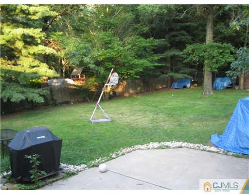1101 New Dover Road Edison, NJ 08820 - Photo 6 of 7 a backyard of a house with lots of green space