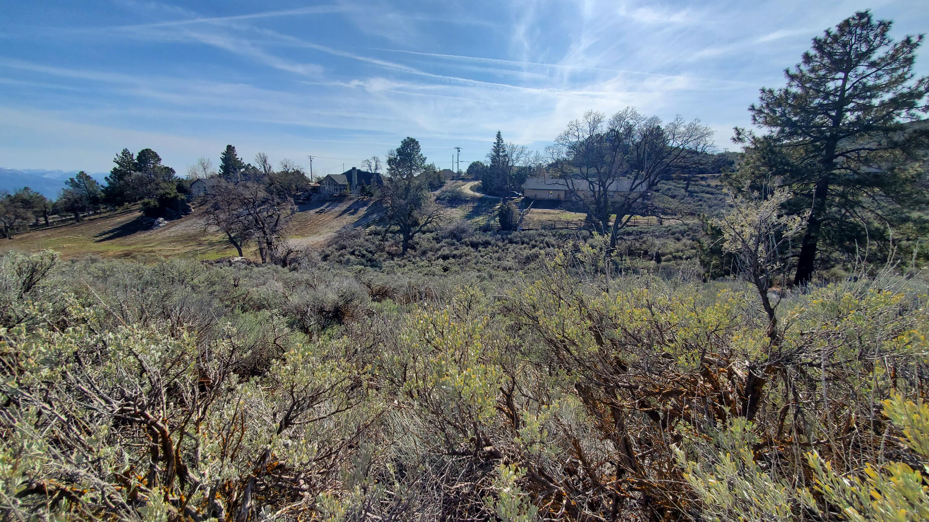 25041 Jacaranda Drive Tehachapi, CA 93561 - Photo 6 of 30 20230405_162024