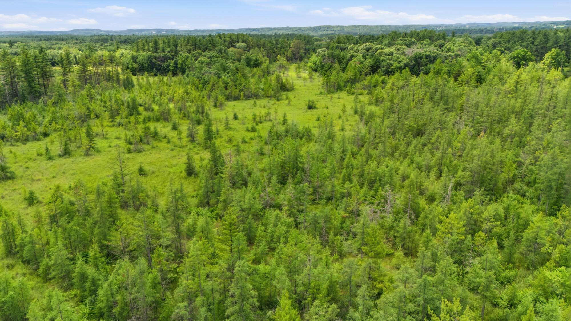 W10402 West Castle Mound Road Brockway, WI 54615 - Photo 31 of 35 Land