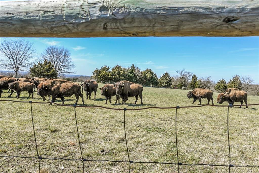 32846 Block Road Paola, KS 66071 - Photo 67 of 75 Gallery Image 67