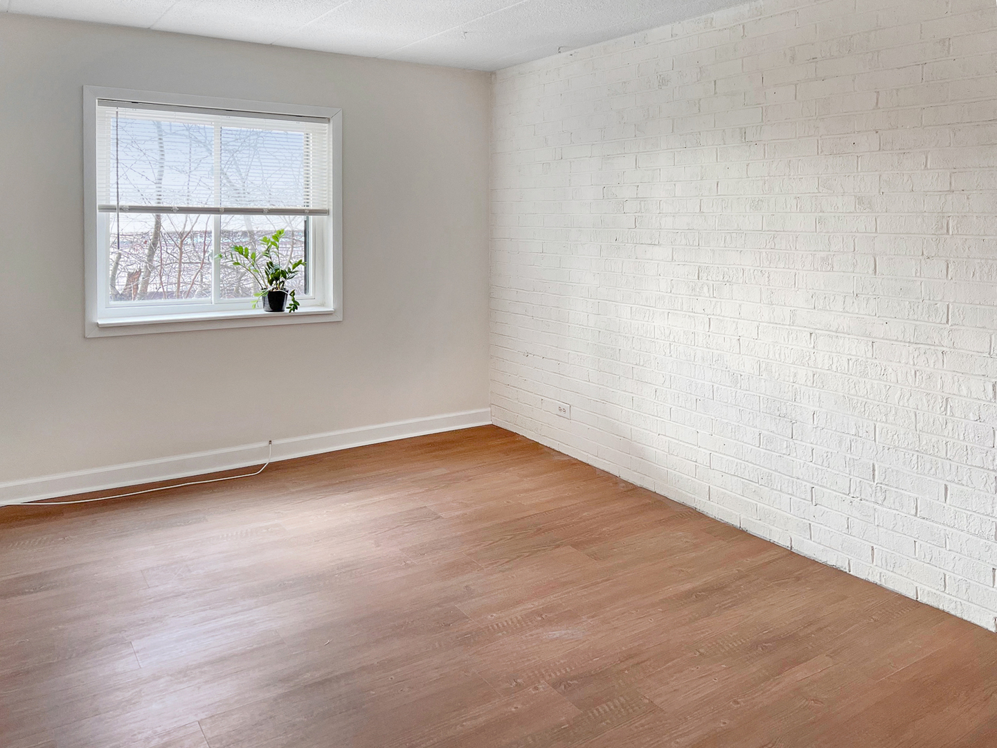 550 Timber Ridge Drive, Unit 203B Carol Stream, IL 60188 - Photo 8 of 18
