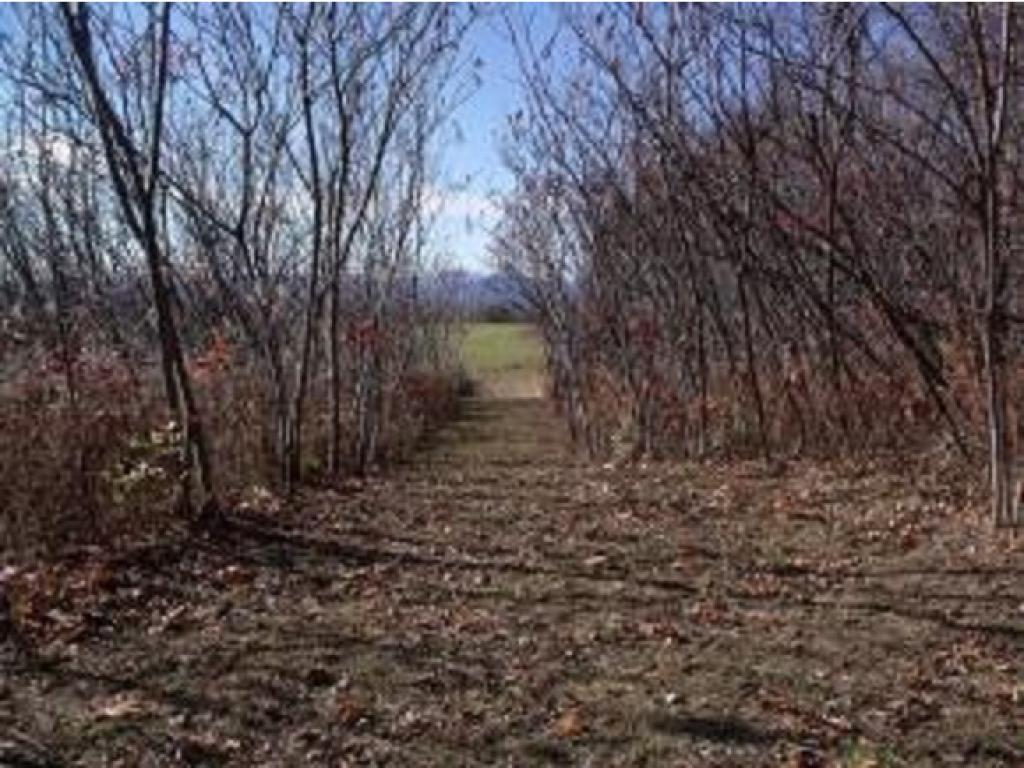 677 Mountain Road Extension Addison, VT 05491 - Photo 3 of 17 Gallery Image 3