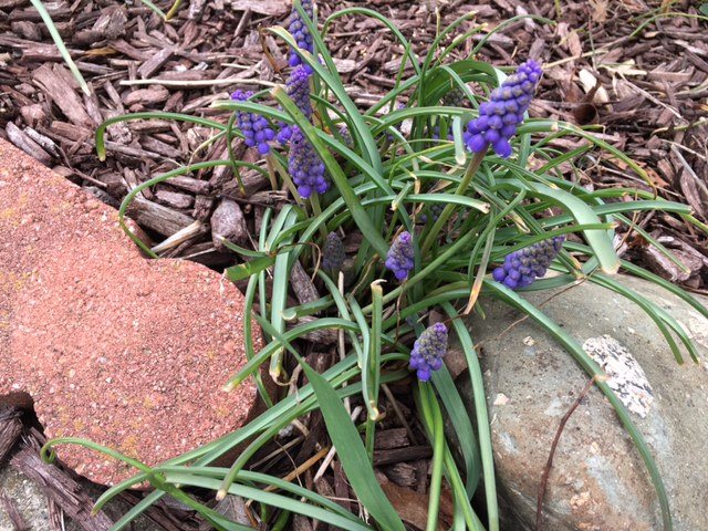 548 Frederick Crossing Roanoke, IN 46783 - Photo 22 of 29