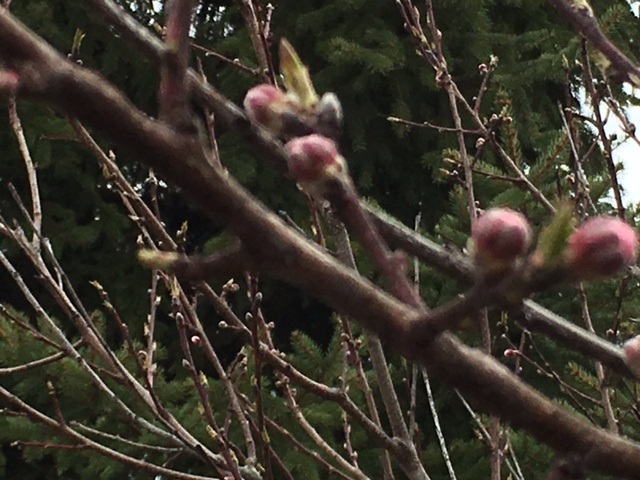 548 Frederick Crossing Roanoke, IN 46783 - Photo 23 of 29