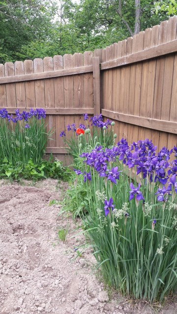 548 Frederick Crossing Roanoke, IN 46783 - Photo 25 of 29