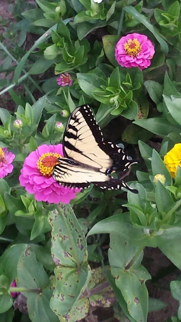 548 Frederick Crossing Roanoke, IN 46783 - Photo 27 of 29