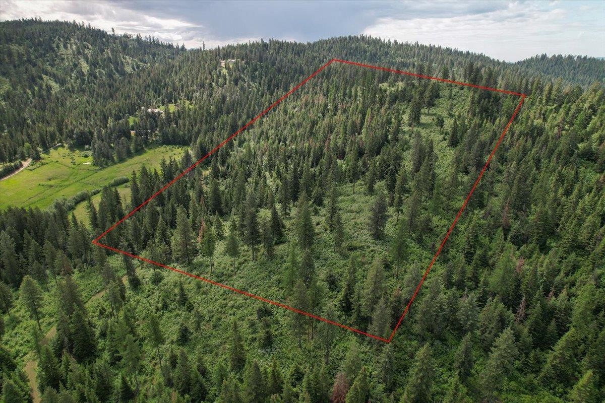 Nna East Bill Gulch Road Mead, WA 99021 - Photo 1 of 16