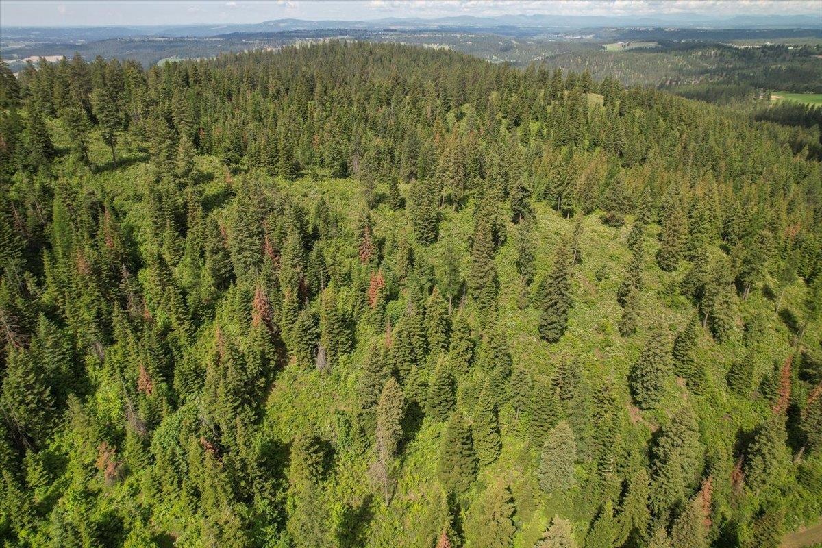 Nna East Bill Gulch Road Mead, WA 99021 - Photo 11 of 16