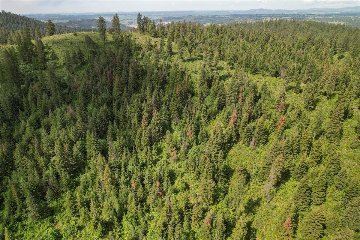 Nna East Bill Gulch Road Mead, WA 99021 - Photo 12 of 16