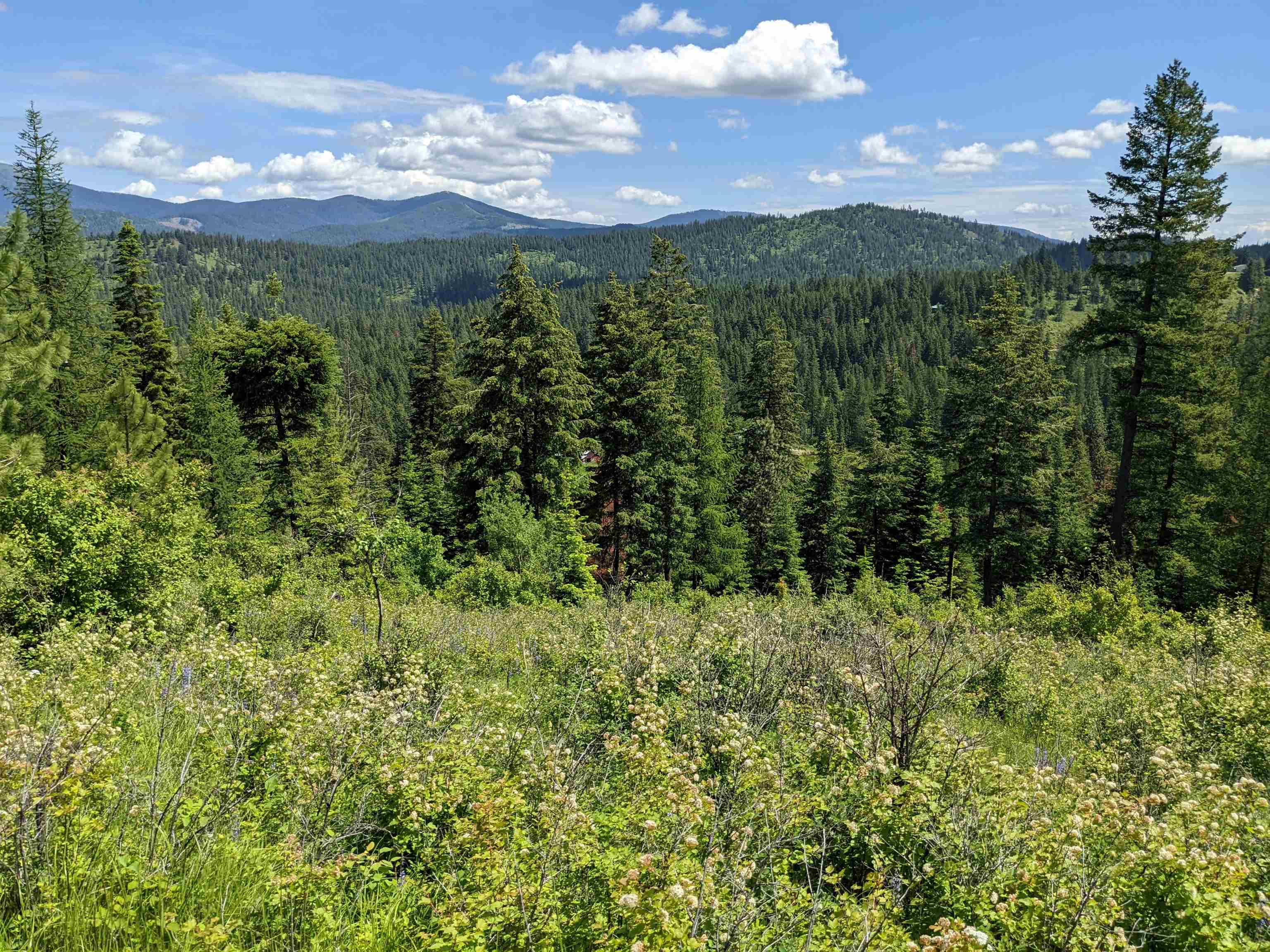 Nna East Bill Gulch Road Mead, WA 99021 - Photo 15 of 16