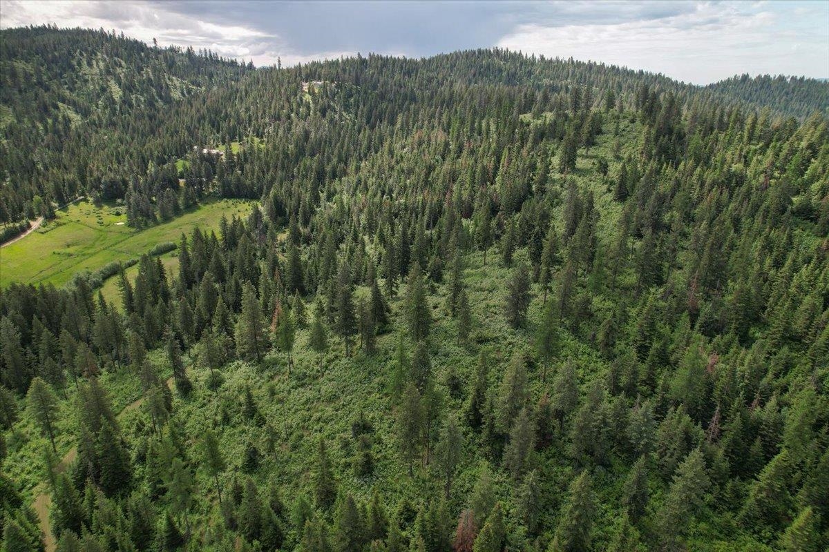 Nna East Bill Gulch Road Mead, WA 99021 - Photo 4 of 16