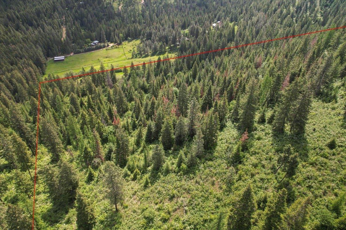 Nna East Bill Gulch Road Mead, WA 99021 - Photo 5 of 16