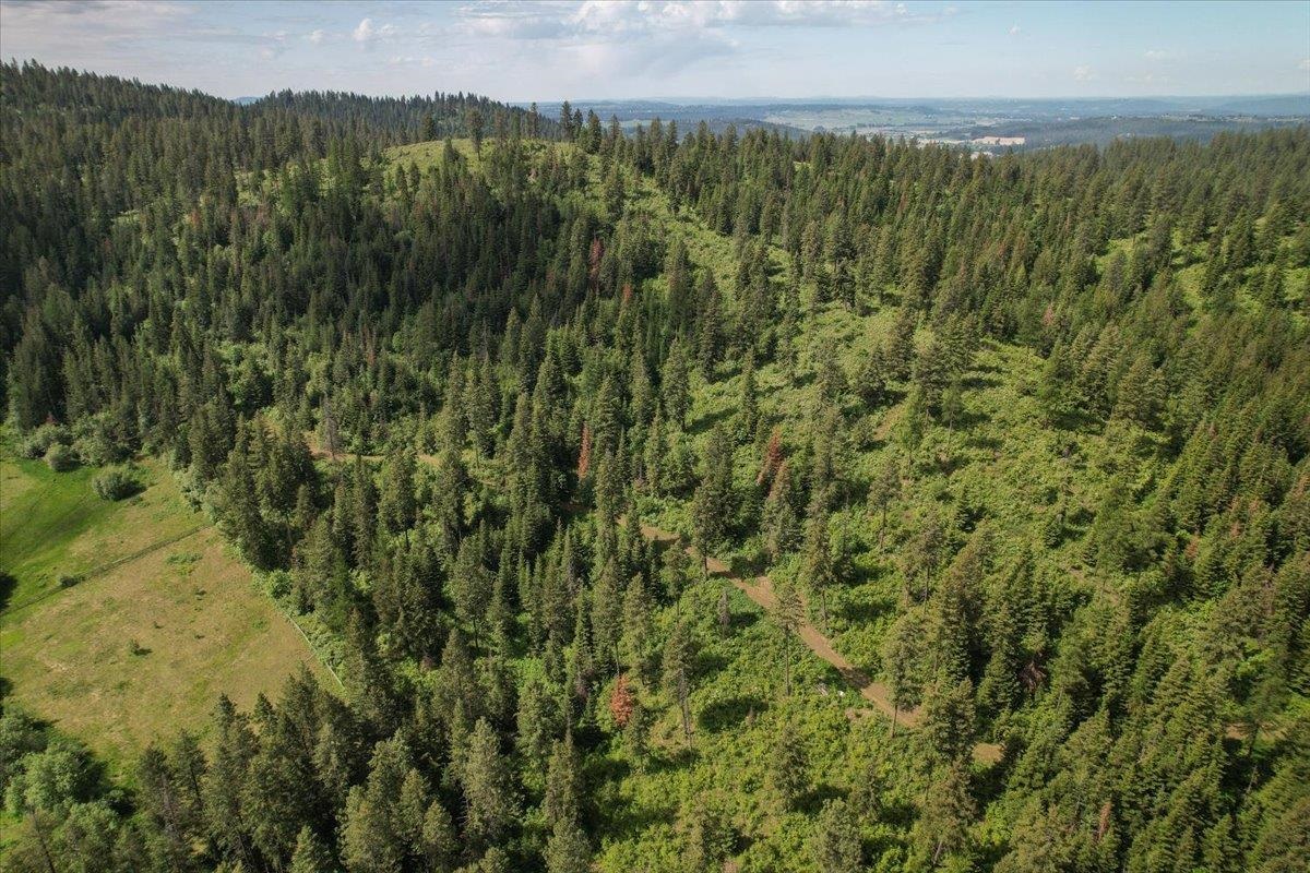 Nna East Bill Gulch Road Mead, WA 99021 - Photo 8 of 16