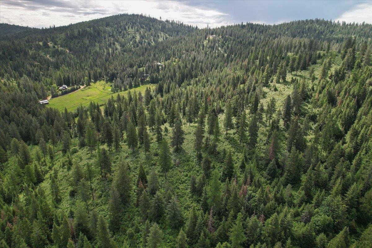 Nna East Bill Gulch Road Mead, WA 99021 - Photo 9 of 16