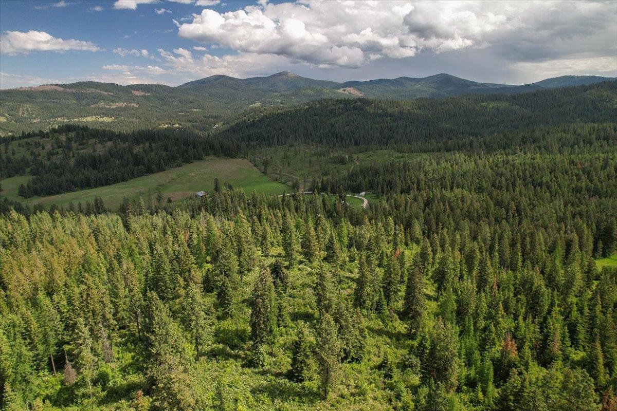 Nna East Bill Gulch Road Mead, WA 99021 - Photo 10 of 16