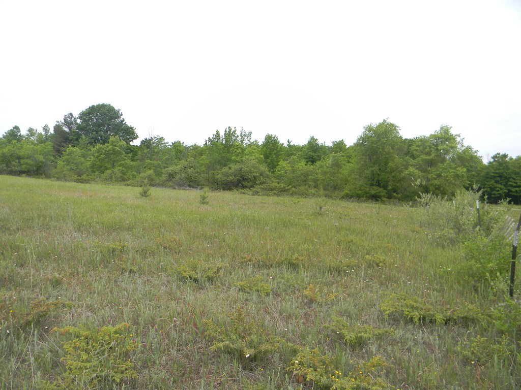 Rasner Way Fish Creek, WI 54212 - Photo 4 of 14