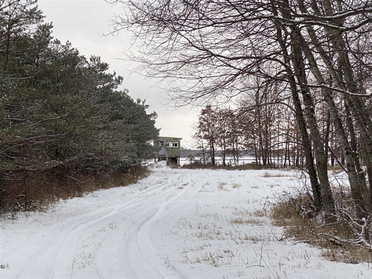34.92 West Sidney Road Stanton, MI 48888 - Photo 4 of 15 Gallery Image 4