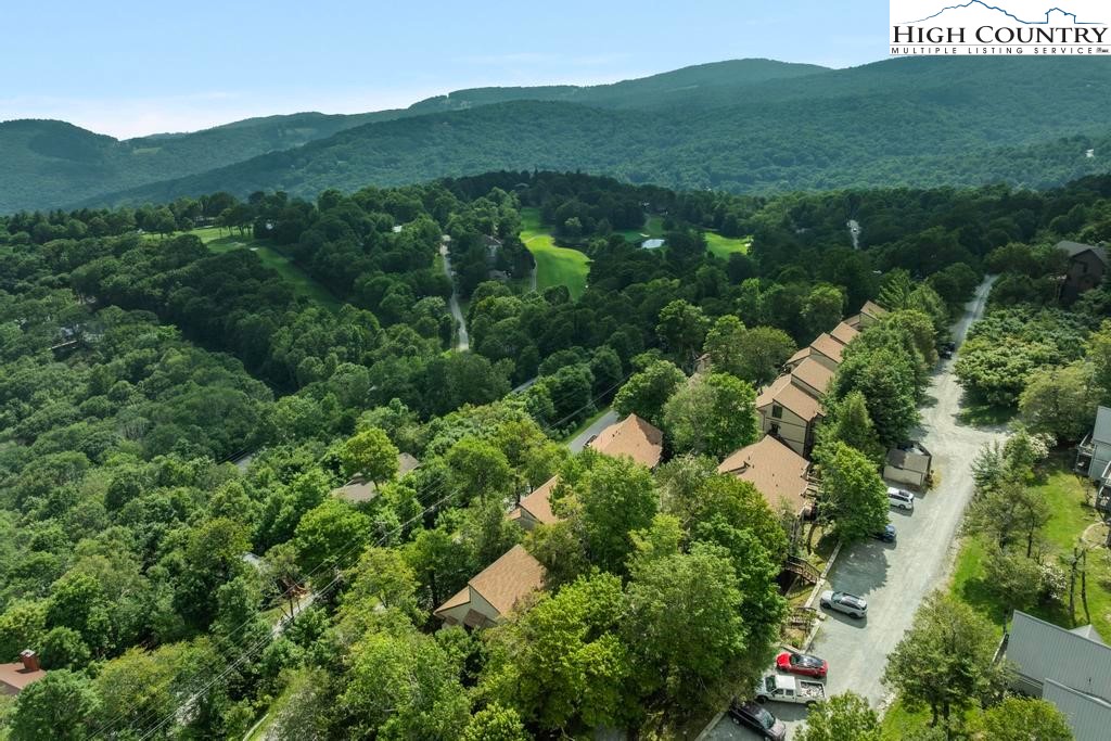 220 Northridge Road, Unit D15 Beech Mountain, NC 28604 - Photo 40 of 47 an aerial view of houses covered in trees