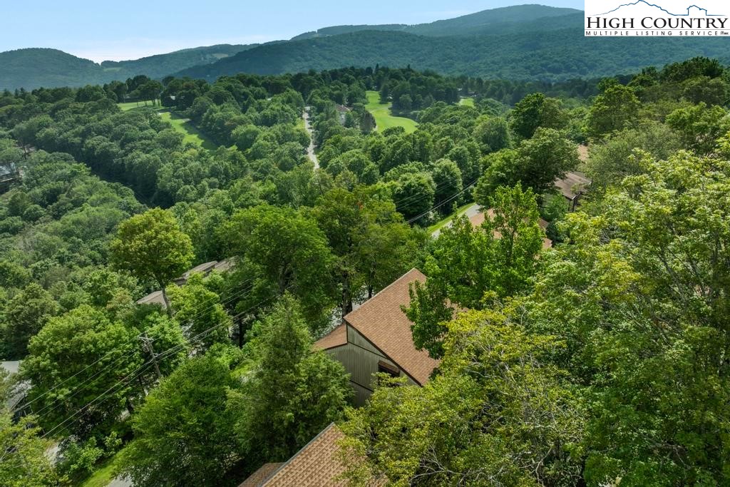 220 Northridge Road, Unit D15 Beech Mountain, NC 28604 - Photo 4 of 47