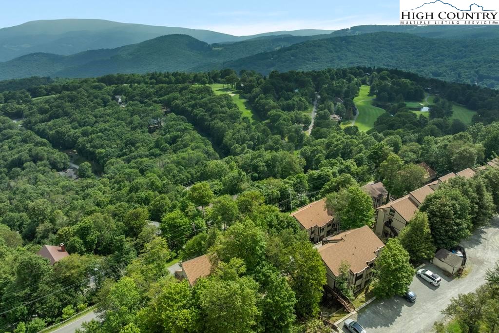 220 Northridge Road, Unit D15 Beech Mountain, NC 28604 - Photo 41 of 47 an aerial view of green landscape with trees houses and mountain view