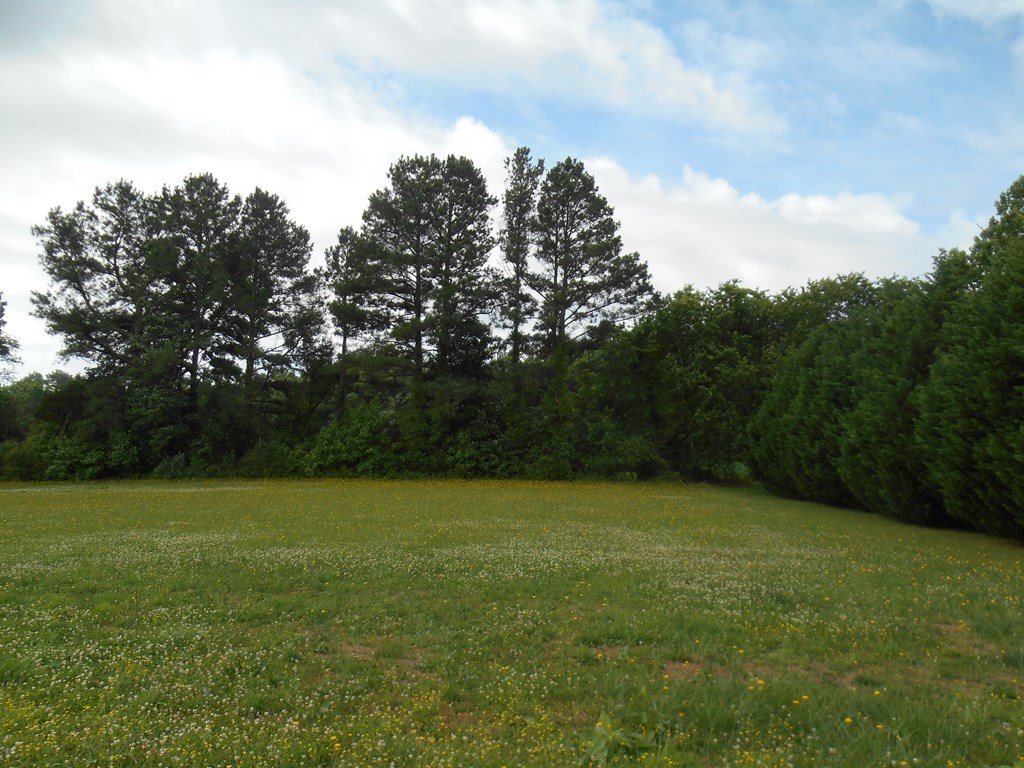 0 Logan Road Onley, VA 23418 - Photo 9 of 12