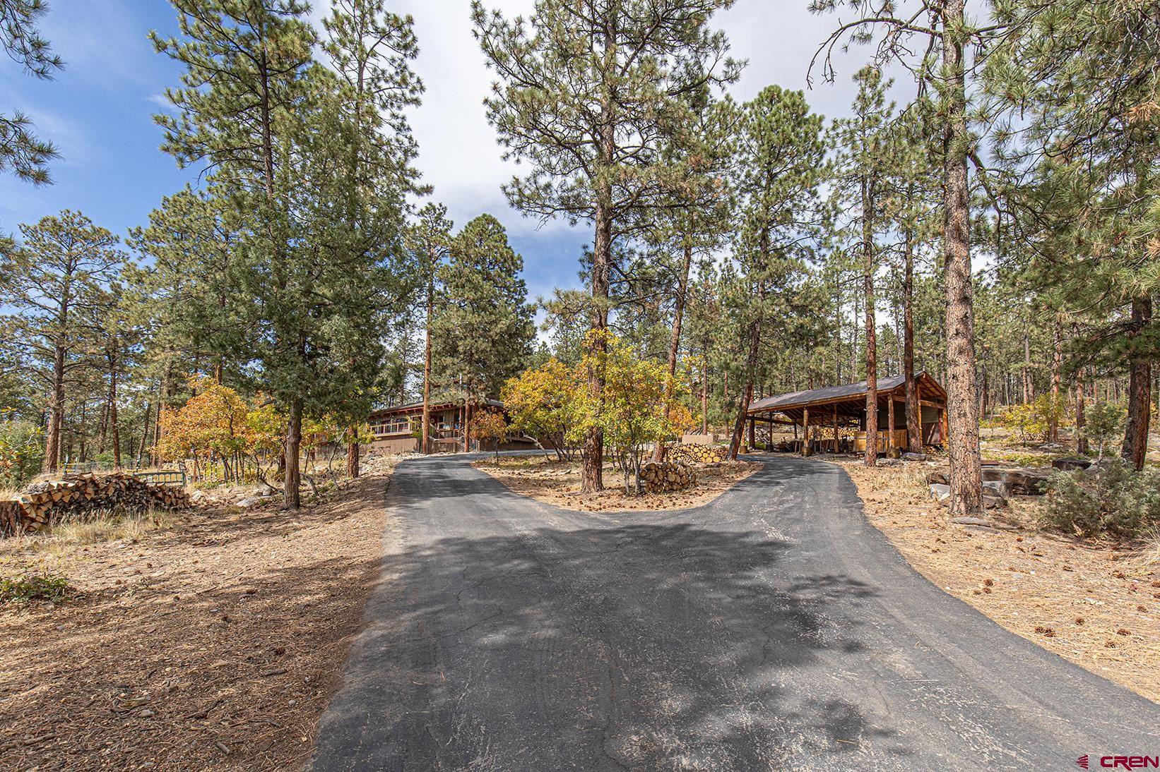 375 Nusbaum Road Durango, CO 81301 - Photo 30 of 33 a view of a yard with plants and trees