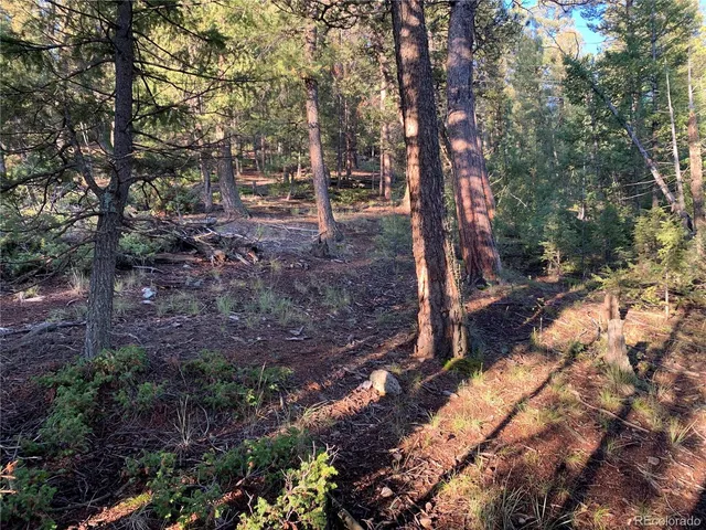a view of outdoor space with trees