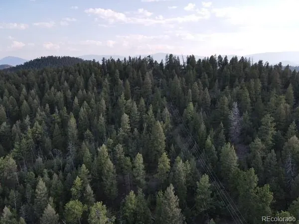 a view of a tree