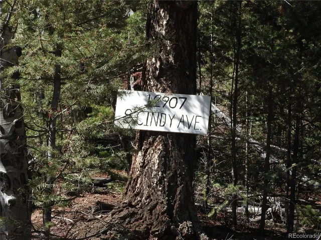 a view of a sign board