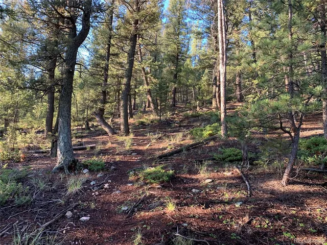 a view of outdoor space and tree