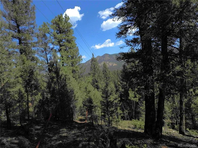 a view of a yard with plants and trees